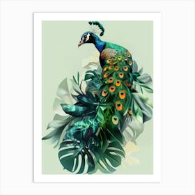Peacock 31 Art Print
