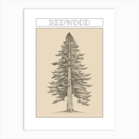 Redwood Tree Minimalistic Drawing 1 Poster Art Print