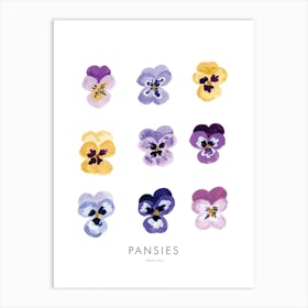 Pansies Art Print
