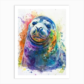 Elephant Seal Colourful Watercolour 1 Art Print