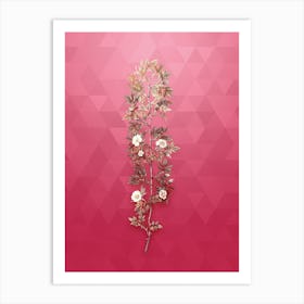 Vintage Cuspidate Rose Botanical in Gold on Viva Magenta n.0554 Art Print