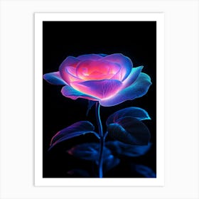 Rose In The Dark 1 Art Print