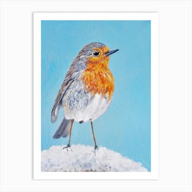 Winter Robin SB Art Print