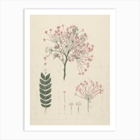 Gummy Albizia Tree, Luigi Balugani 1 Art Print