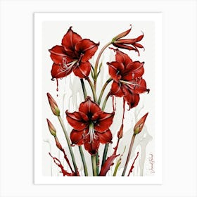 Red Amarilis Flowers Art Print