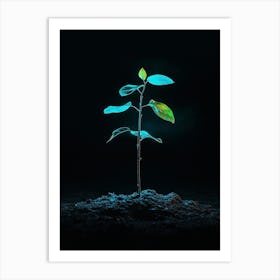 Plant Growing In The Dark 30 Art Print