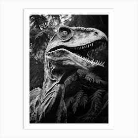 Black And White Photograph Of A Velociraptor 1 Art Print