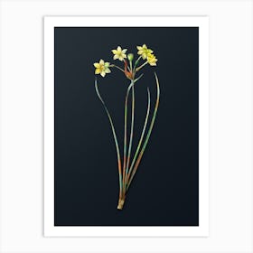 Vintage Rush Daffodil Botanical Watercolor Illustration on Dark Teal Blue n.0161 Art Print