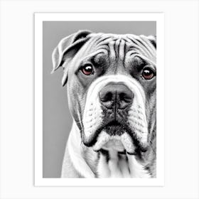 Bullmastiff B&W Pencil Dog Art Print