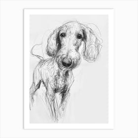 Bedlington Terrier Dog Charcoal Line 2 Art Print