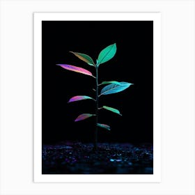 Plant On A Black Background 2 Art Print