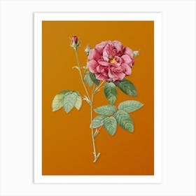 Vintage French Rose Botanical on Sunset Orange n.0798 Art Print