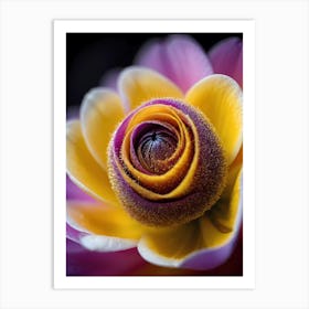 Purple And Yellow Flower Art Print