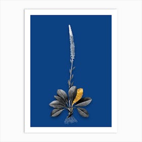 Vintage Blazing Star Black and White Gold Leaf Floral Art on Midnight Blue n.1081 Art Print
