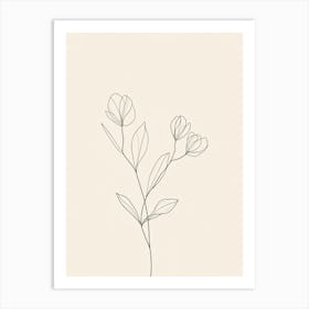 Line Drawing Of A Flower Art Print