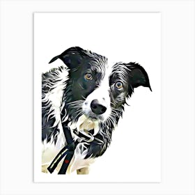 Border Collie Dog Art Print