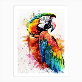 Macaw Colourful Watercolour 1 Art Print