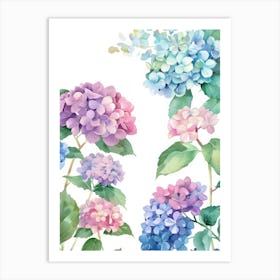 Watercolor Hydrangeas 3 Art Print