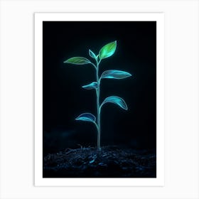 Plant Growing Out Of The Ground Art Print