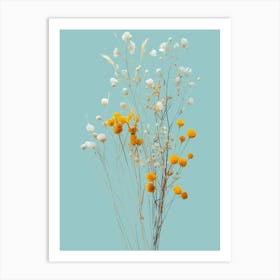 Dry Flowers Art Print