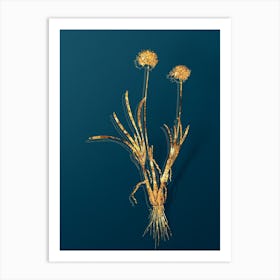 Vintage Allium Carolinianum Botanical in Gold on Teal Blue n.0241 Art Print