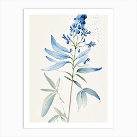 Blue Cohosh Herb Minimalist Watercolour 2 Art Print
