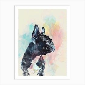 Boston Terrier Dog Pastel Line Watercolour Illustration  2 Art Print
