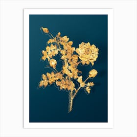 Vintage White Burnet Roses Botanical in Gold on Teal Blue Art Print