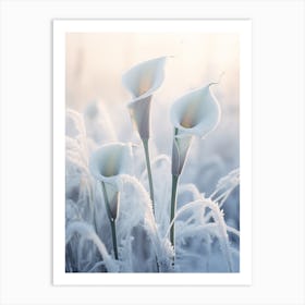 Frosty Botanical Calla Lily 1 Art Print