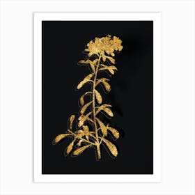 Vintage Small White Flowers Botanical in Gold on Black n.0058 Art Print