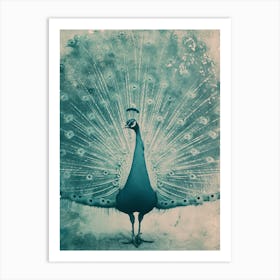 Vintage Turquoise Peacock With Feathers Out Art Print