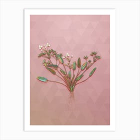 Vintage Starfruit Botanical Art on Crystal Rose Art Print
