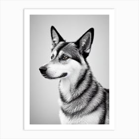 Norwegian Elkhound B&W Pencil Dog Art Print