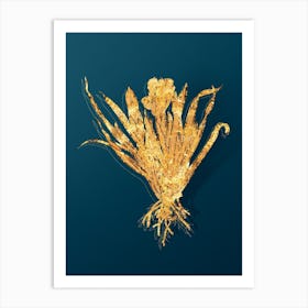 Vintage Crimean Iris Botanical in Gold on Teal Blue n.0117 Art Print