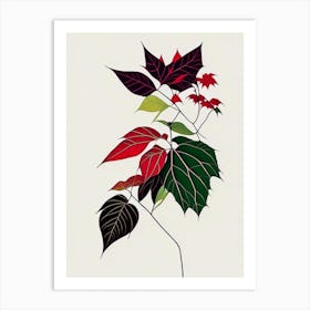 Western Poison Ivy Minimal Line Drawing 5 Art Print
