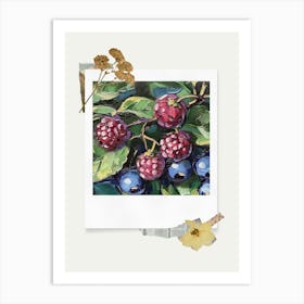 Scrapbook Blueberries Fairycore Painting 4 Art Print