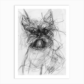 Affenpinscher Dog Charcoal Line Art Print