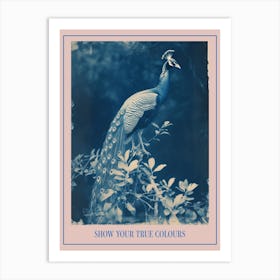Cyanotype Inspired Peacock In The Leaves 1 Poster Art Print