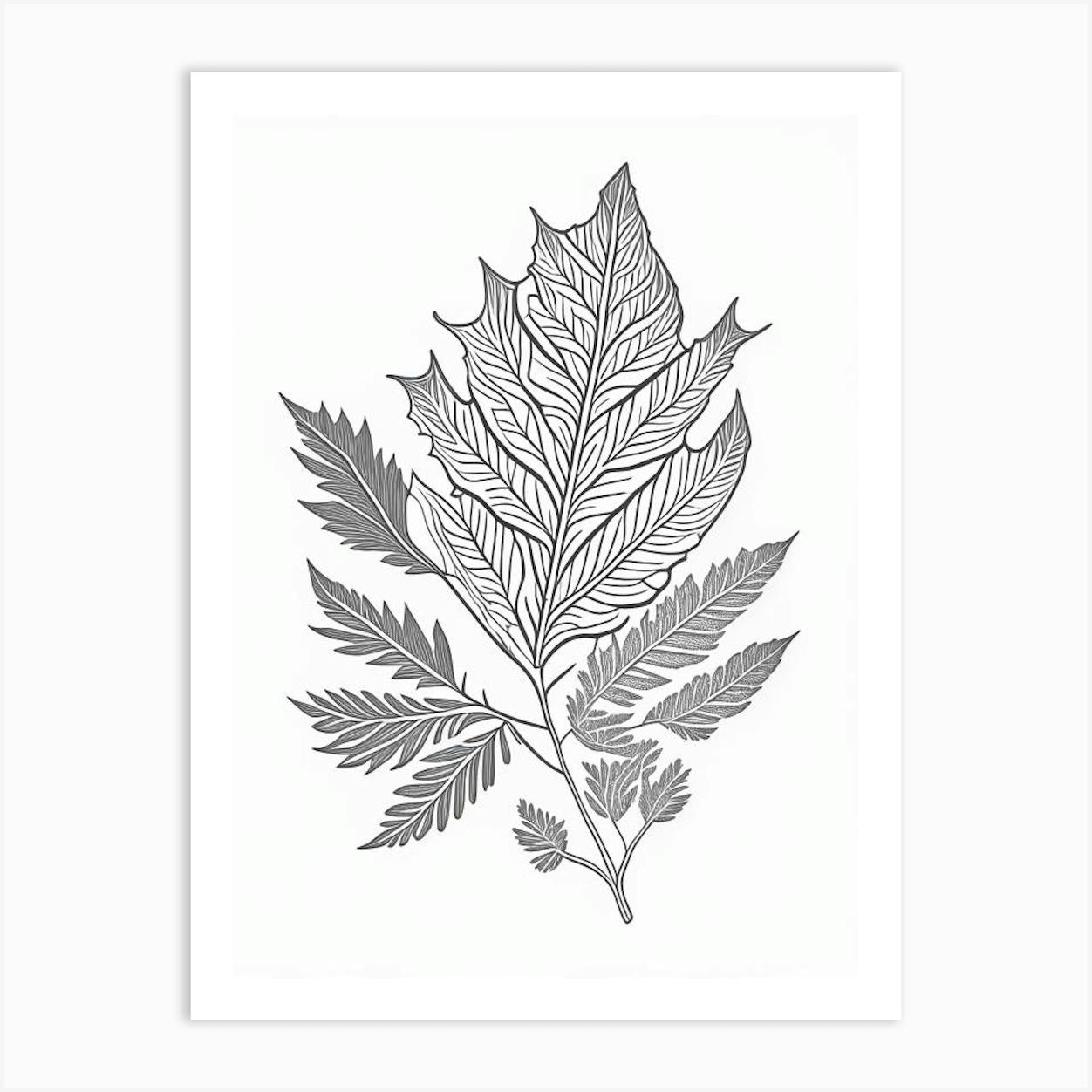 Curry Leaf | Curry leaves, Curry, Plant leaves