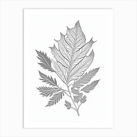 Curry Leaf Herb William Morris Inspired Line Drawing 2 Art Print