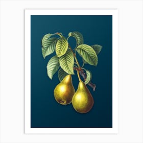 Vintage Pear Botanical Art on Teal Blue n.0278 Art Print