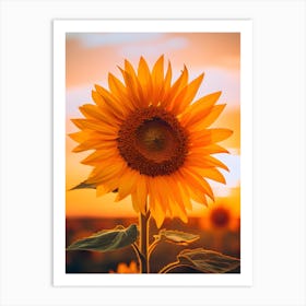 Sunflower At Sunset 2 Art Print