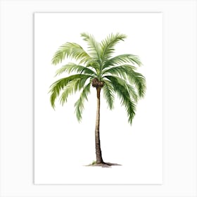 Palm Tree Isolated On White Art Print