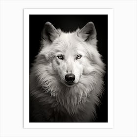 Tundra Wolf Portrait Black And White 2 Art Print
