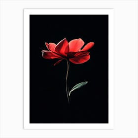 Single Red Flower 3 Art Print