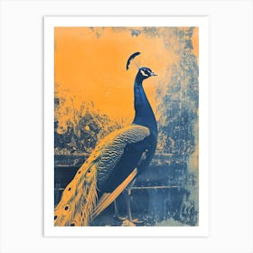 Orange & Blue Peacock By The Fountain Art Print