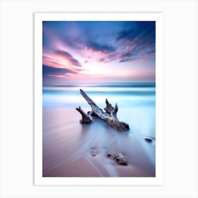 Driftwood At Sunset 1 Art Print