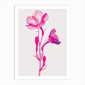 Hot Pink Freesia 3 Art Print