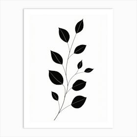 Black And White Leaf Art Print