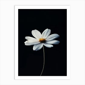 Single White Daisy 1 Art Print